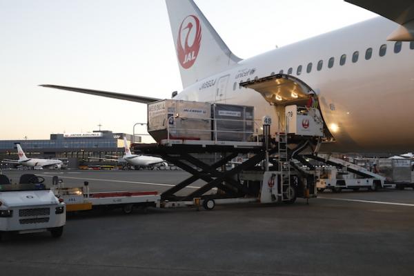 Japan Airlines Cargo