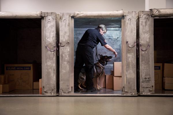 Air cargo, security, canine screening