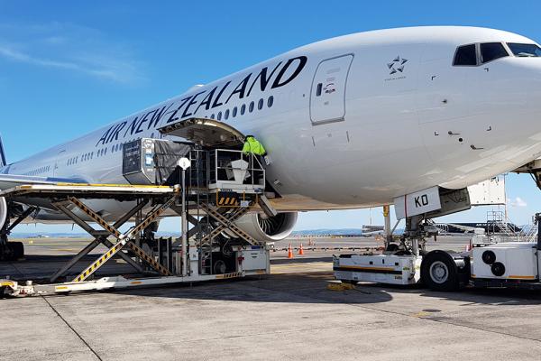 Air New Zealand coronavirus