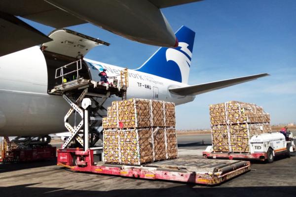 Network Airline Management