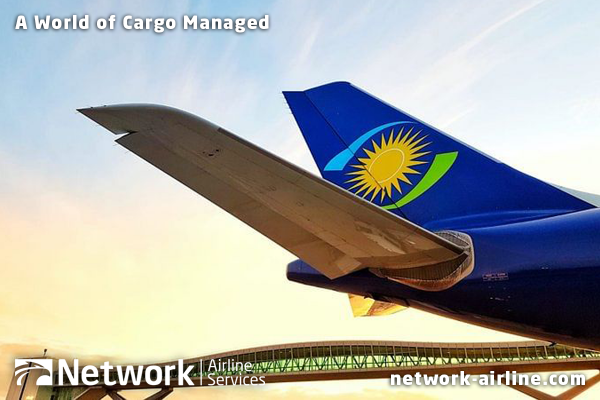 Network Airline Services